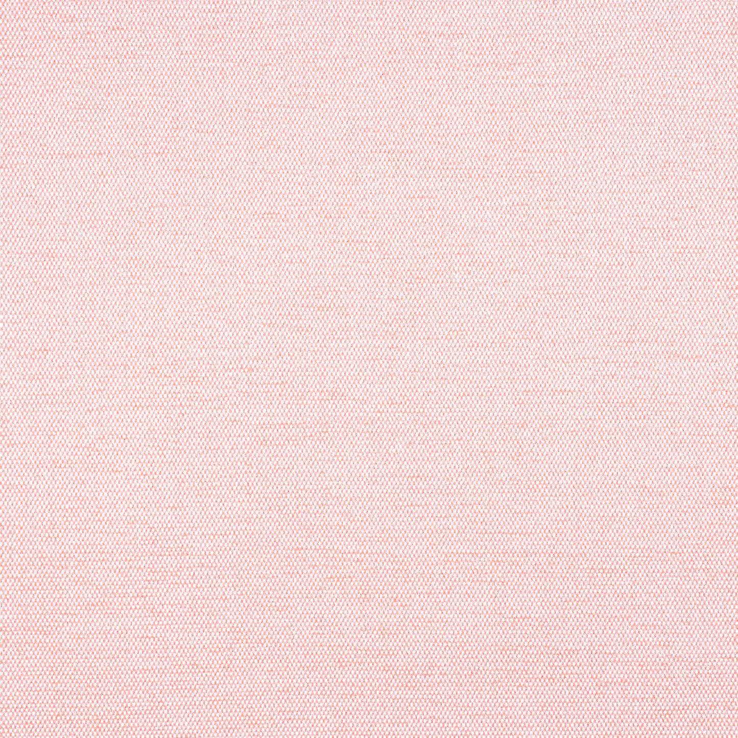 Purchase Thibaut Fabric Item# W8594 pattern name Clara color Seashell