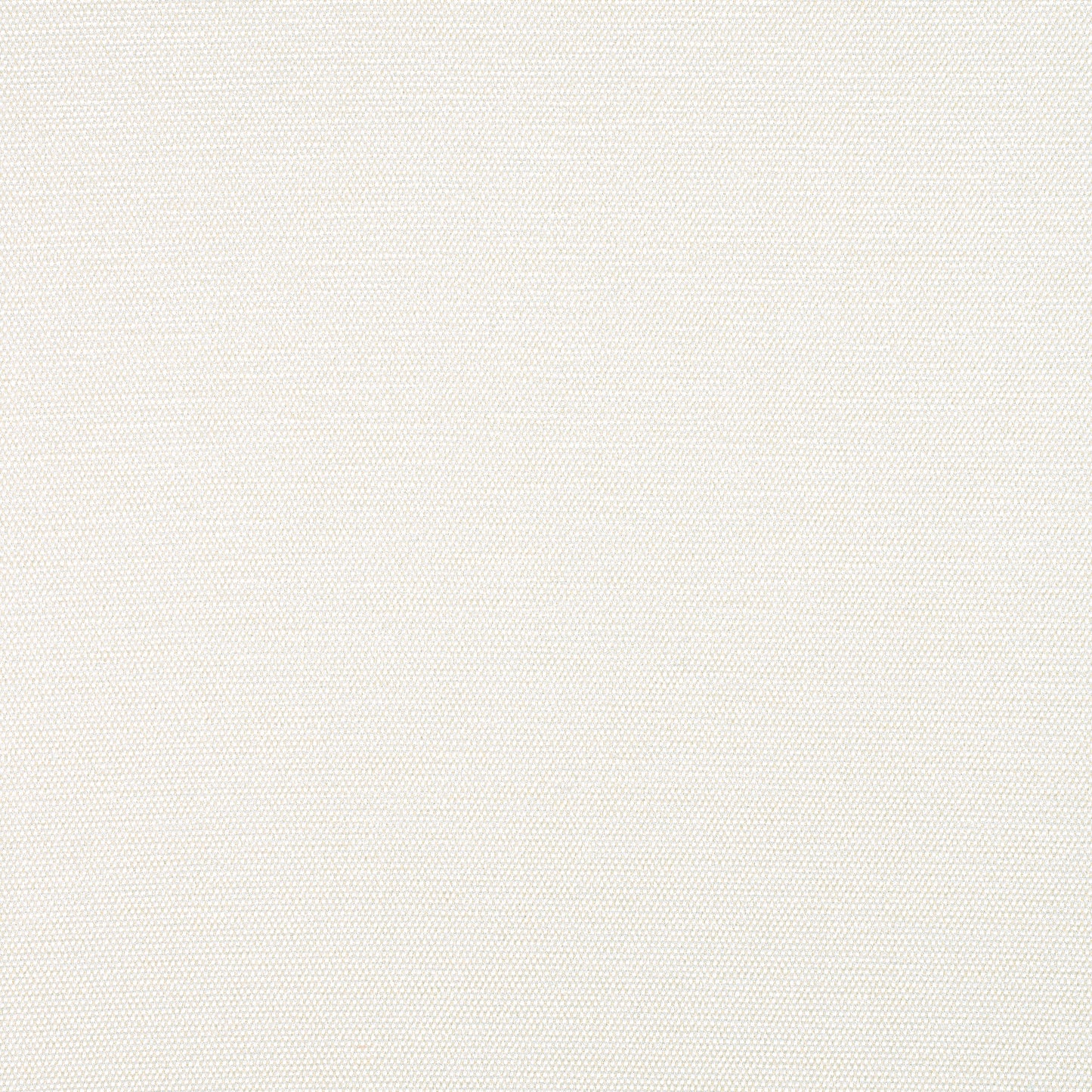 Purchase Thibaut Fabric Product# W8596 pattern name Clara color Almond