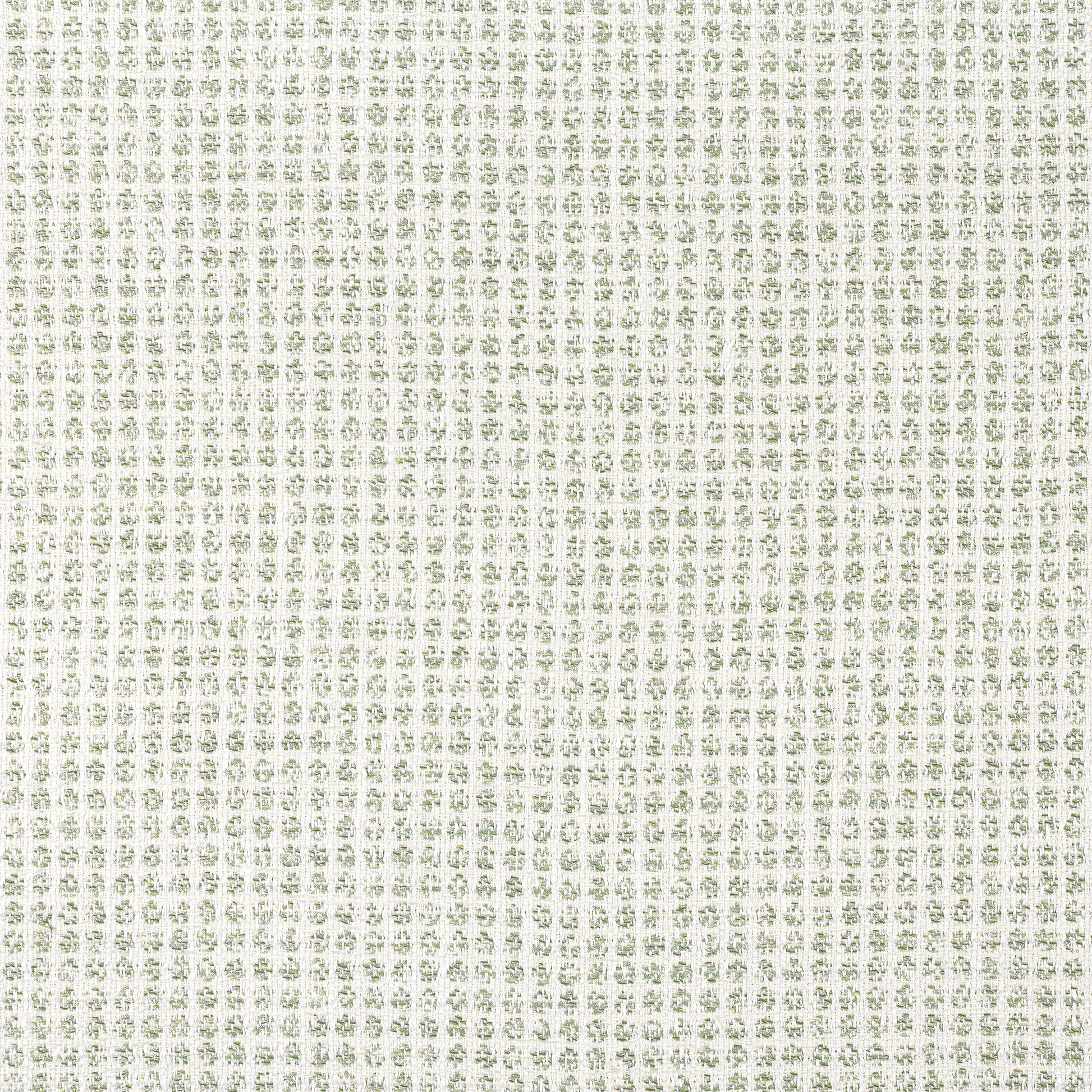 Purchase Thibaut Fabric Product W8703 pattern name Remy Dot color Green