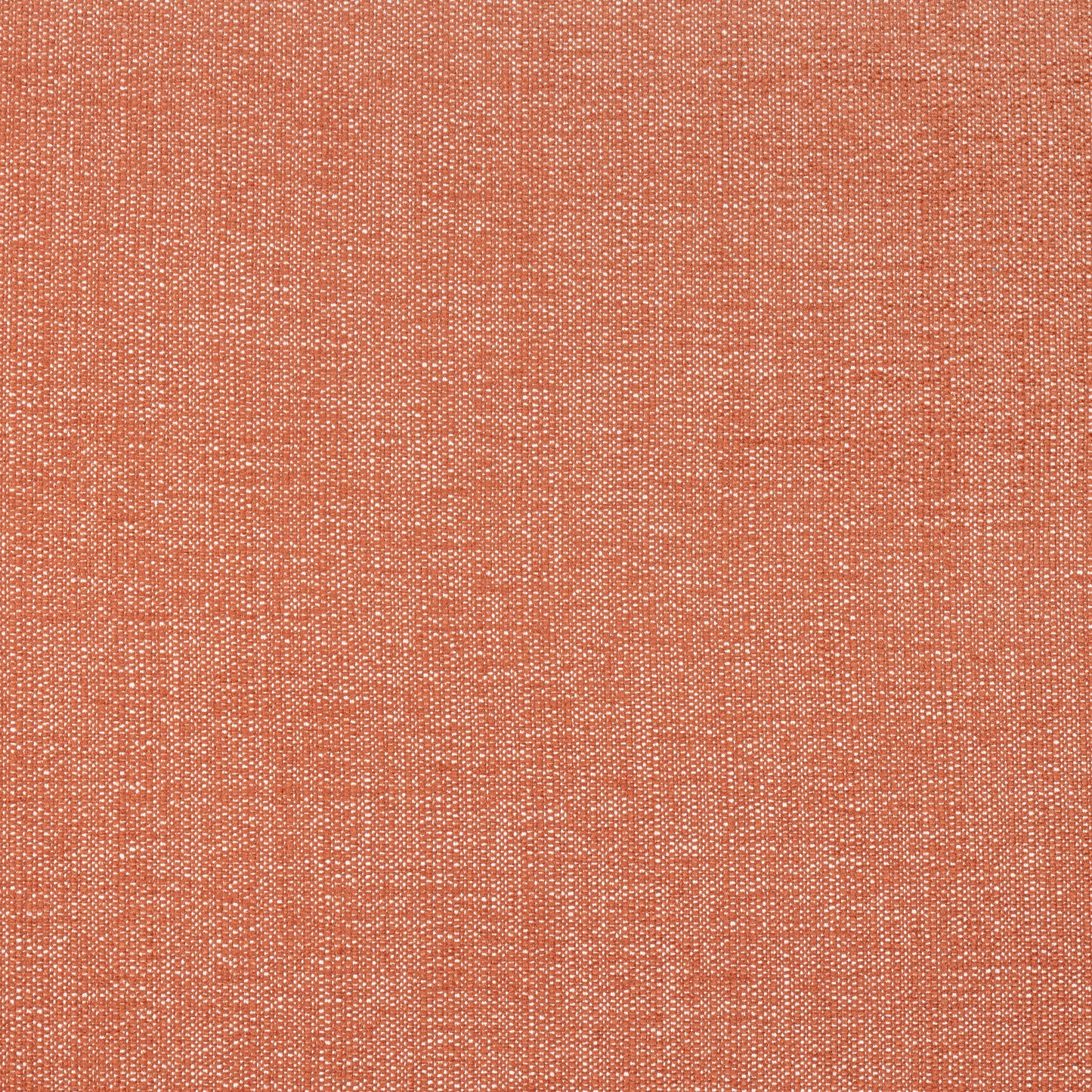 Purchase Thibaut Fabric Pattern W8713 pattern name Veda color Terracotta