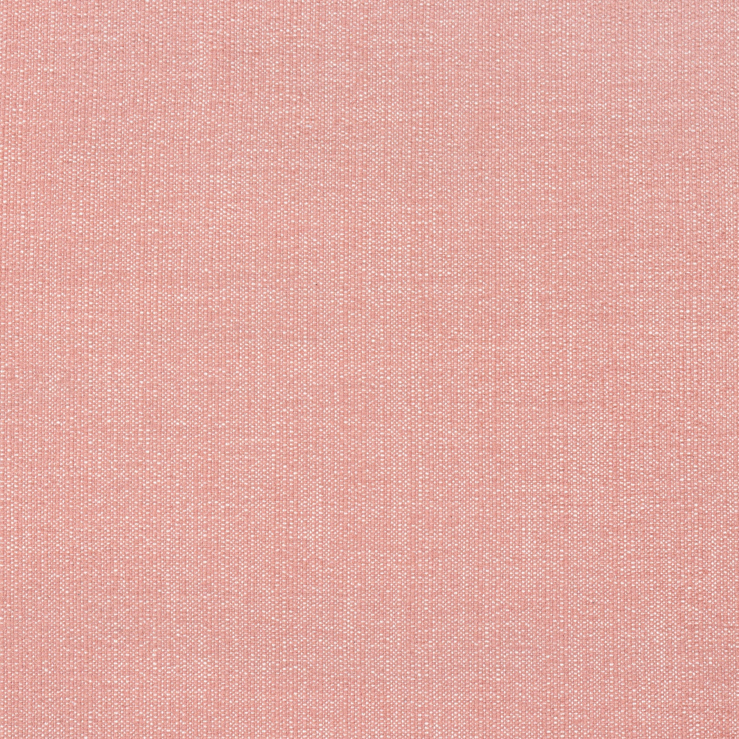 Purchase Thibaut Fabric SKU W8714 pattern name Veda color Clay