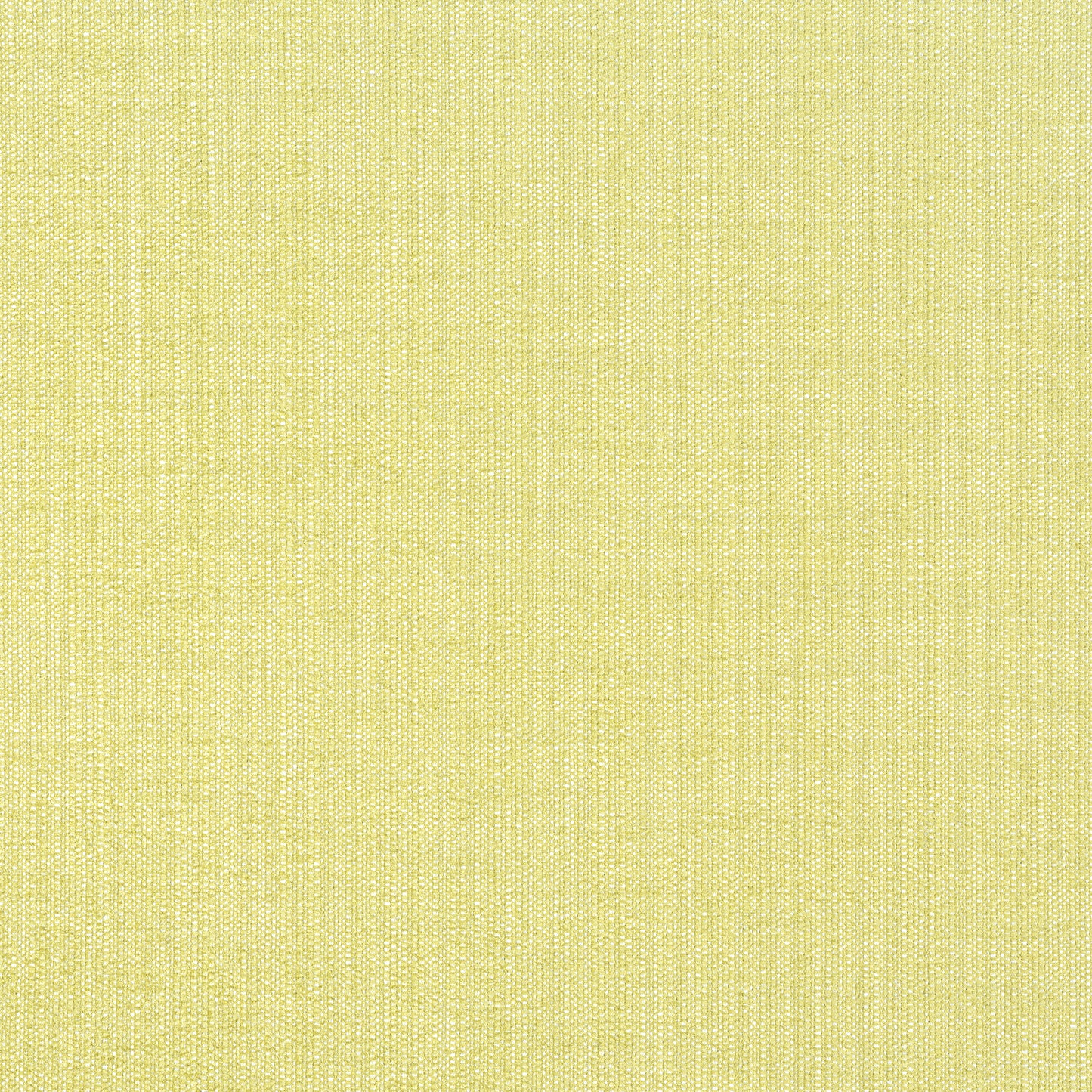 Purchase Thibaut Fabric Item# W8716 pattern name Veda color Lemongrass