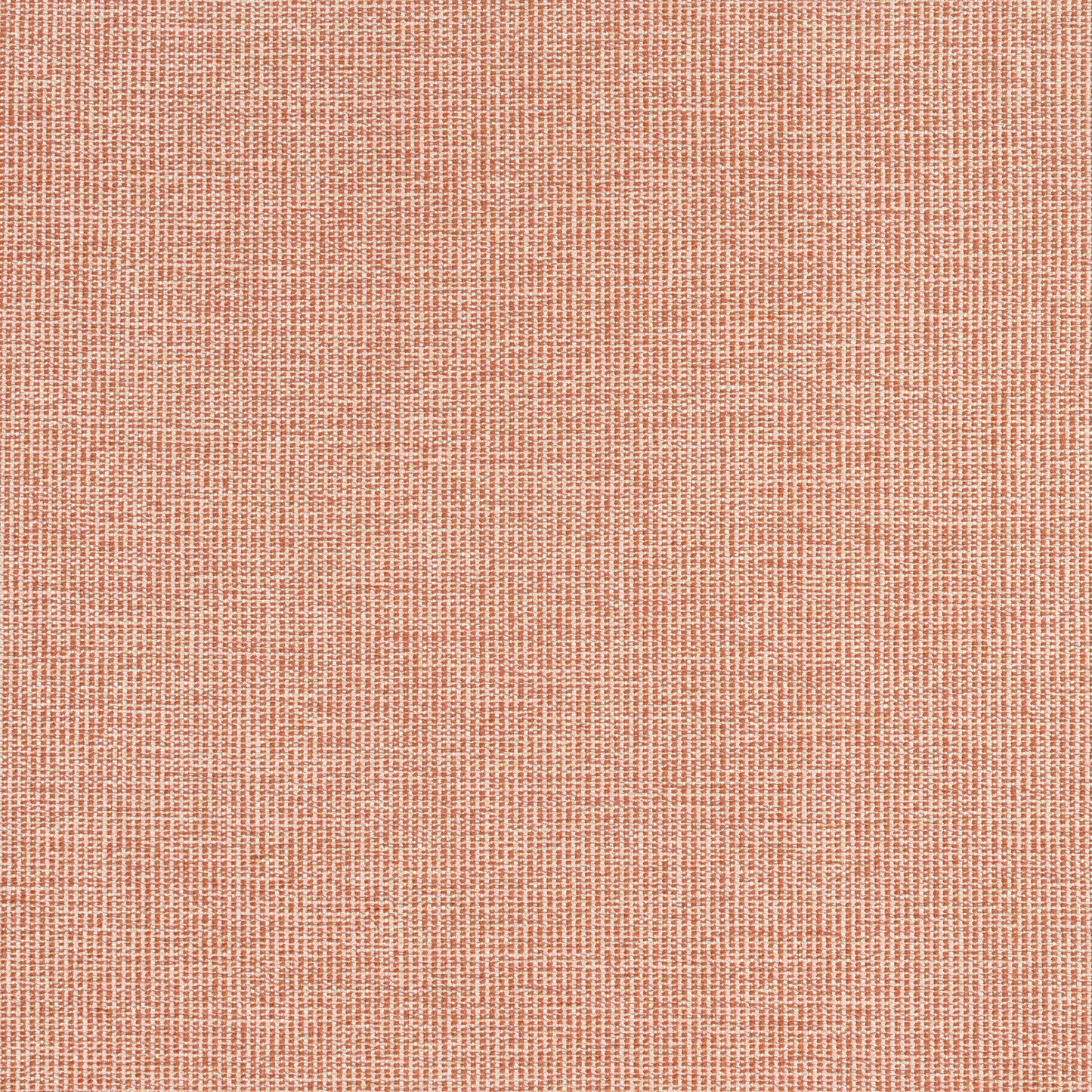 Purchase Thibaut Fabric Product W8761 pattern name Sacchi color Terracotta