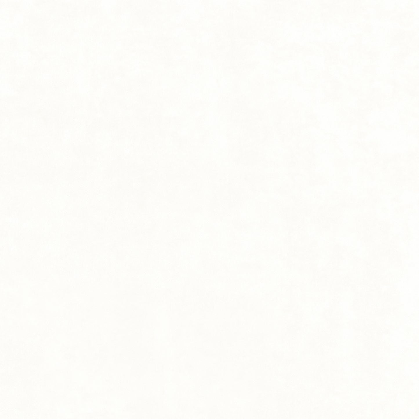 Purchase Thibaut Fabric Product# W8964 pattern name Celeste Velvet color Ivory
