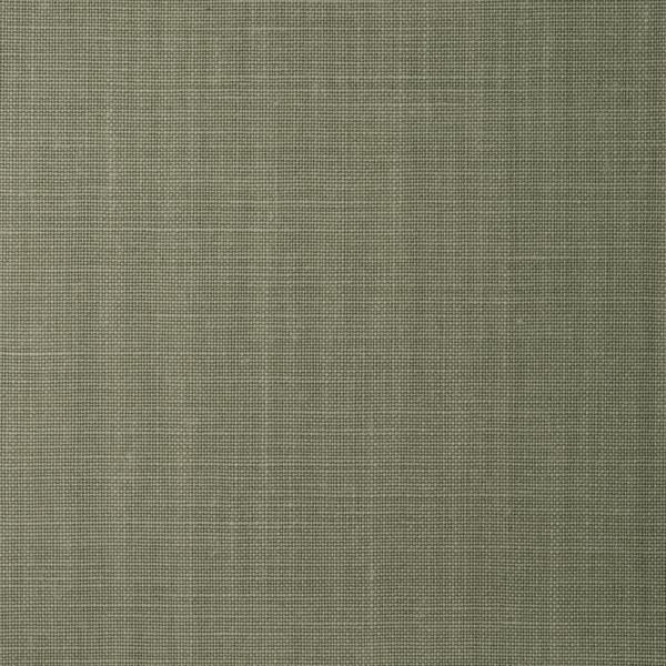 WFT1682.WT Balen Olivene by Winfield Thybony
