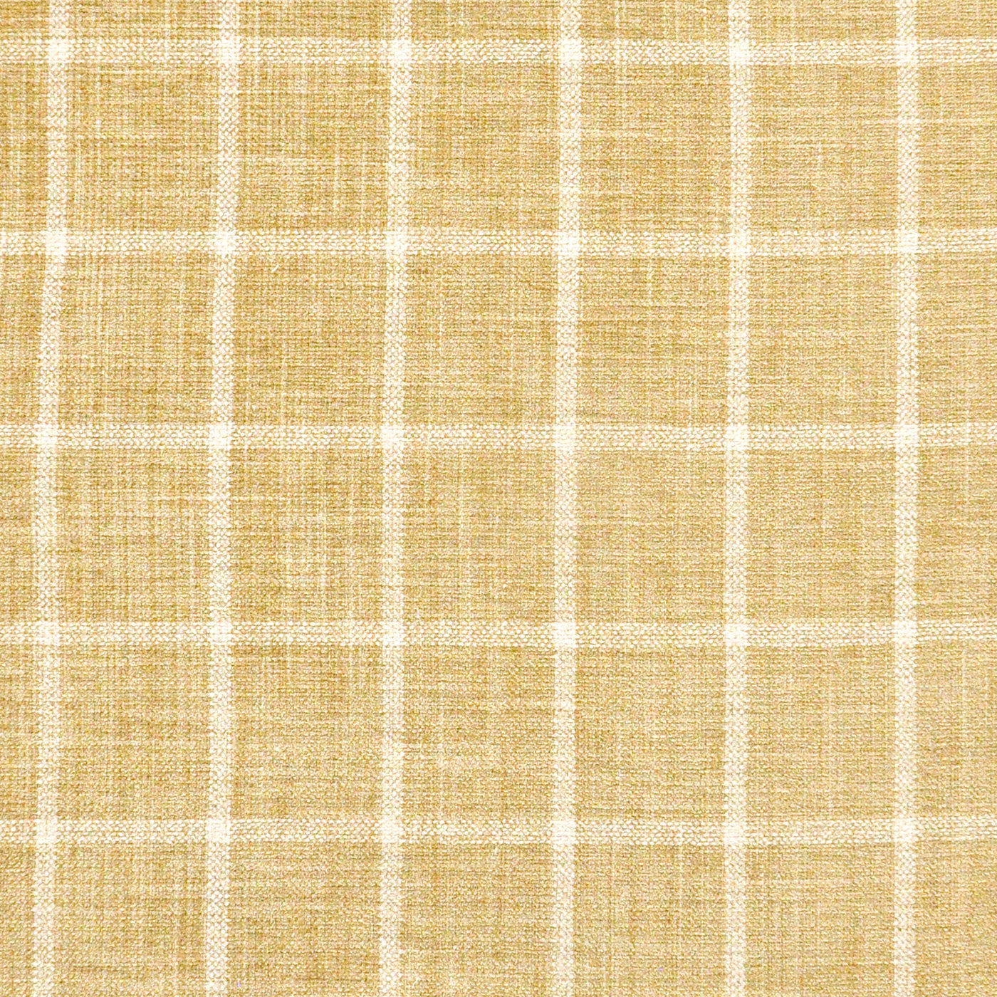 Windowpane | # 613 Midas - Maxwell Fabric