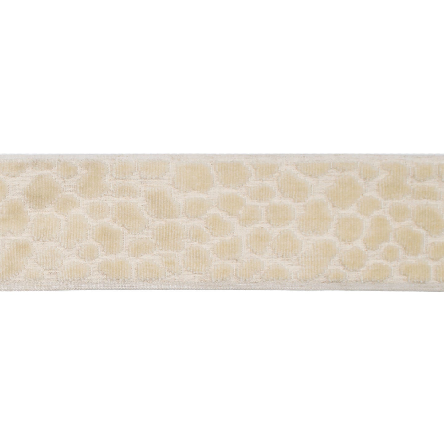 Purchase Mag FabricPattern# 11171 pattern name Wilder Tape Pearl