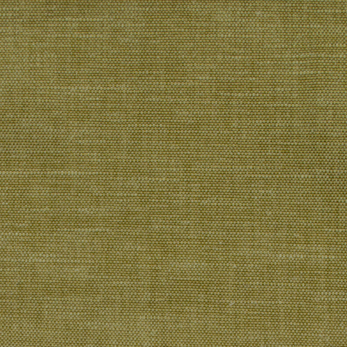 Sample 9319 Wilkes Green Tea, Green, Light Green by Magnolia Fabric