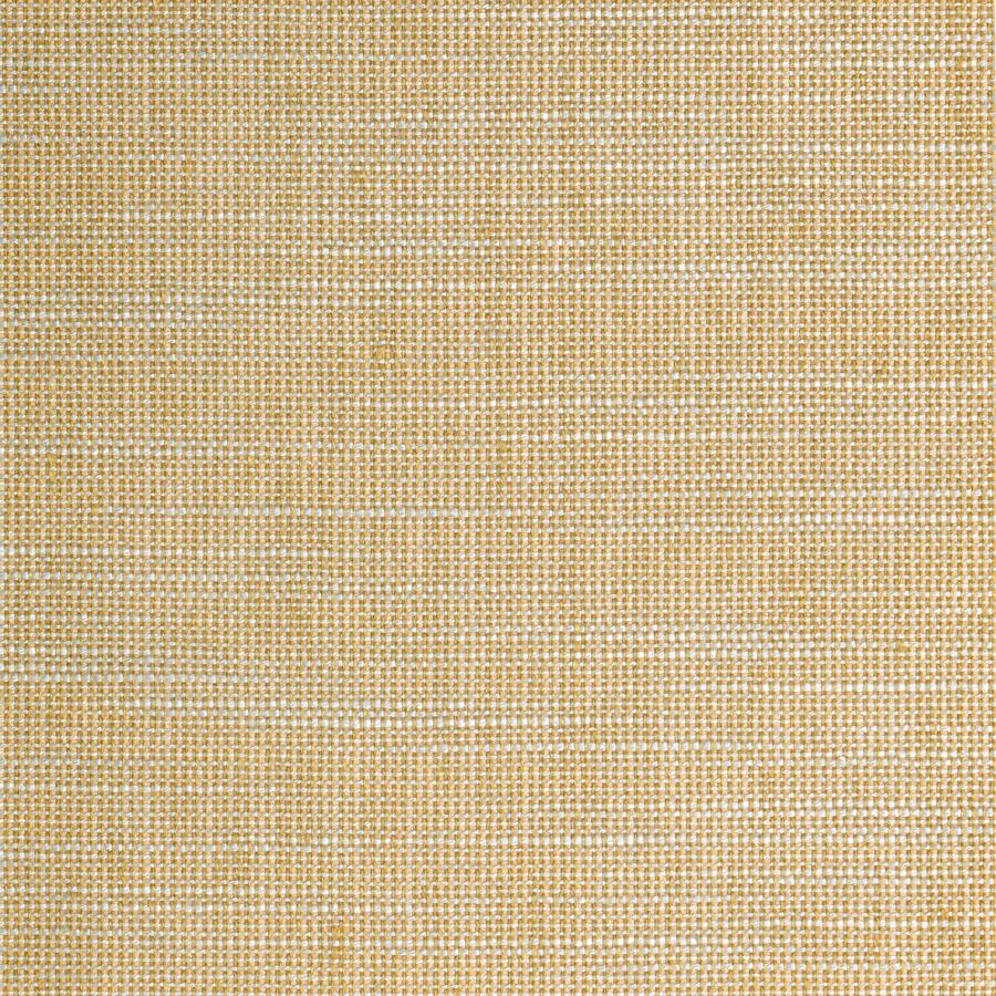 Purchase Wnk7187-Wt Nuvoloso, Brass - Winfield Thybony Wallpaper - Wnk7187.Wt.0
