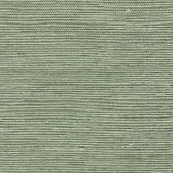 Sample - Wnr2110-Wt | Chiyo Sisal, Green Solid - Winfield Thybony Wallpaper - Wnr2110.Wt.0
