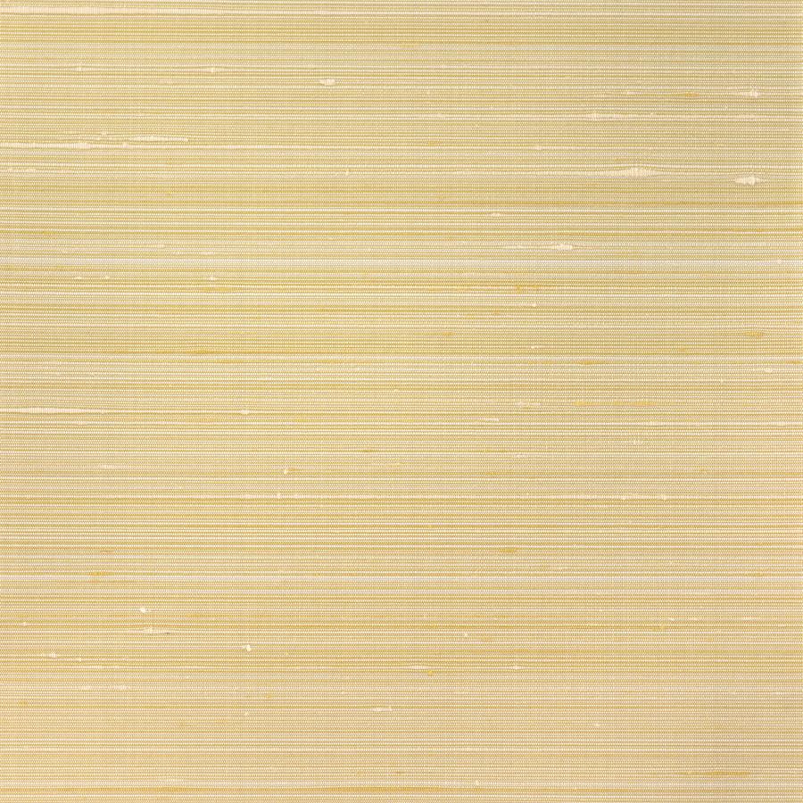 Sample - Wns5526-Wt | Grayson, Gold Solid - Winfield Thybony Wallpaper - Wns5526.Wt.0