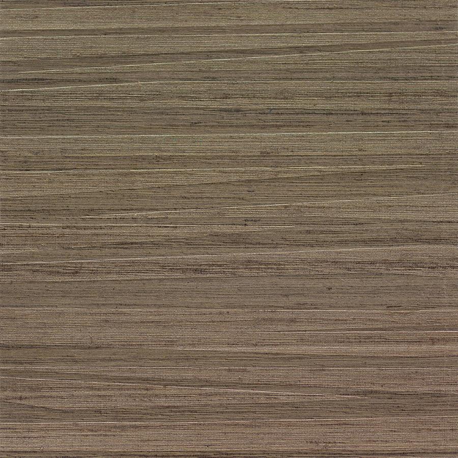 Sample - Wns5537-Wt | Arlette, Brown Solid - Winfield Thybony Wallpaper - Wns5537.Wt.0