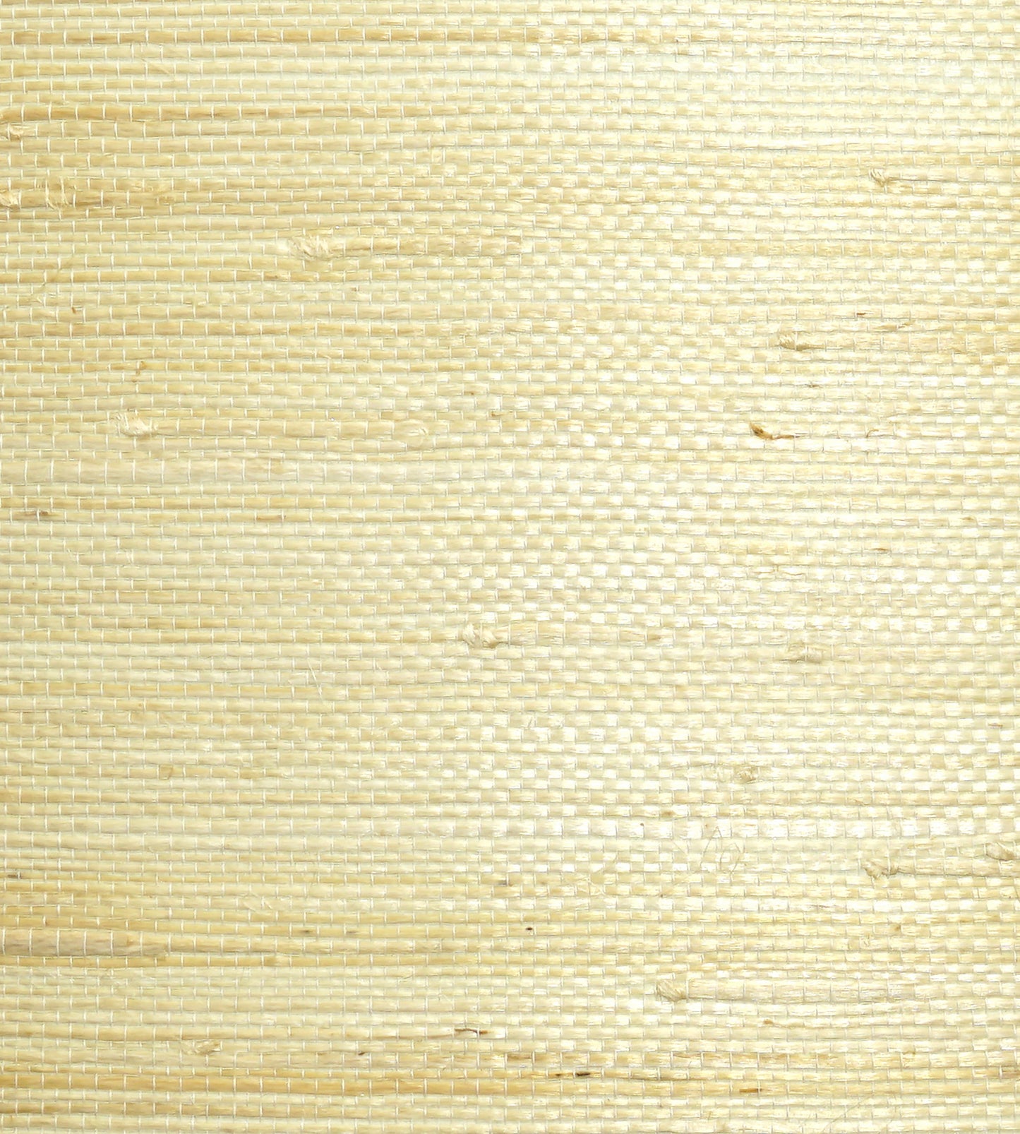 Find Scalamandre Wallpaper Pattern Wtwsg5635 Name Natural Jute Cotton Texture Wallpaper