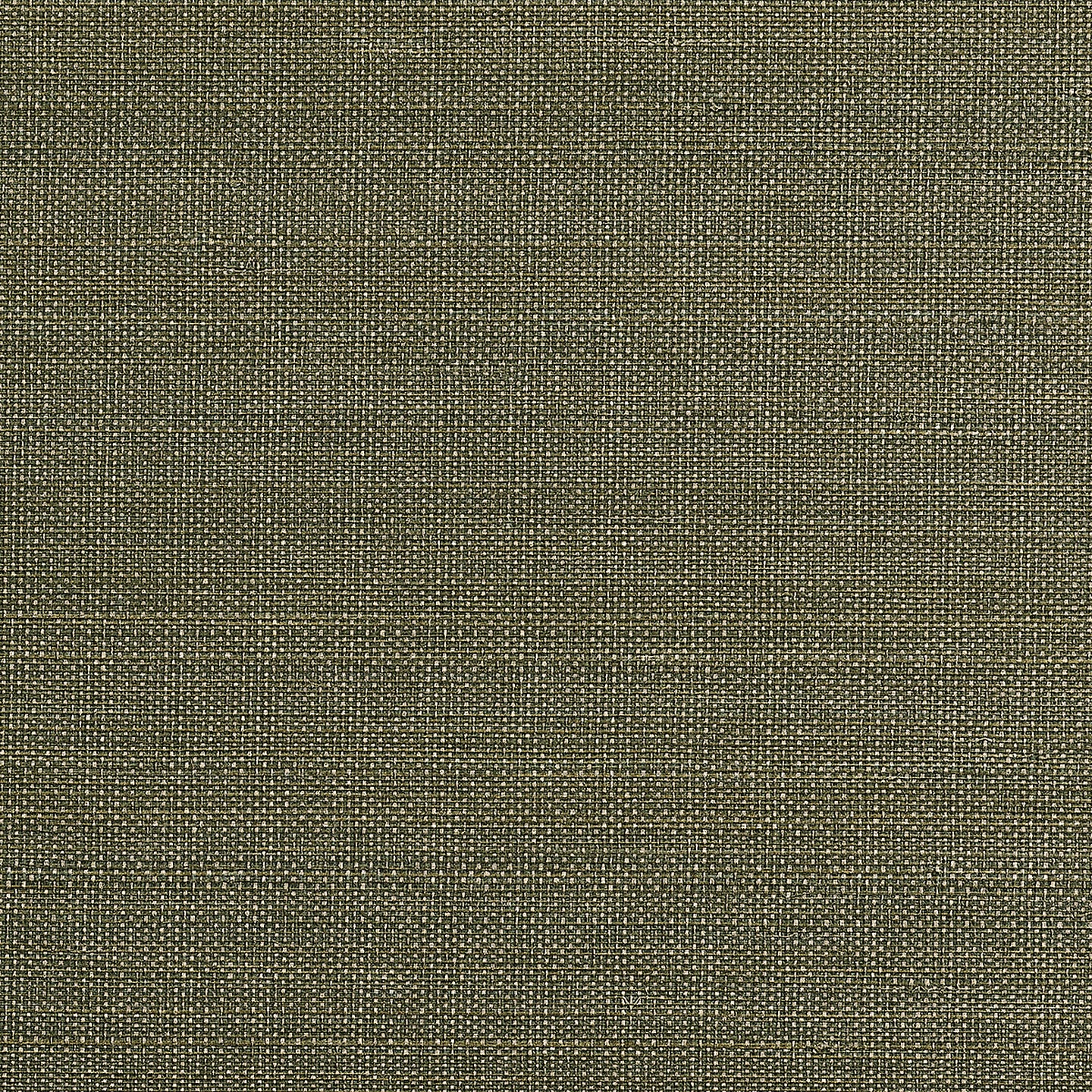 Purchase Phillip Jeffries Wallpaper - 10623, Abaca Royale - Verdant