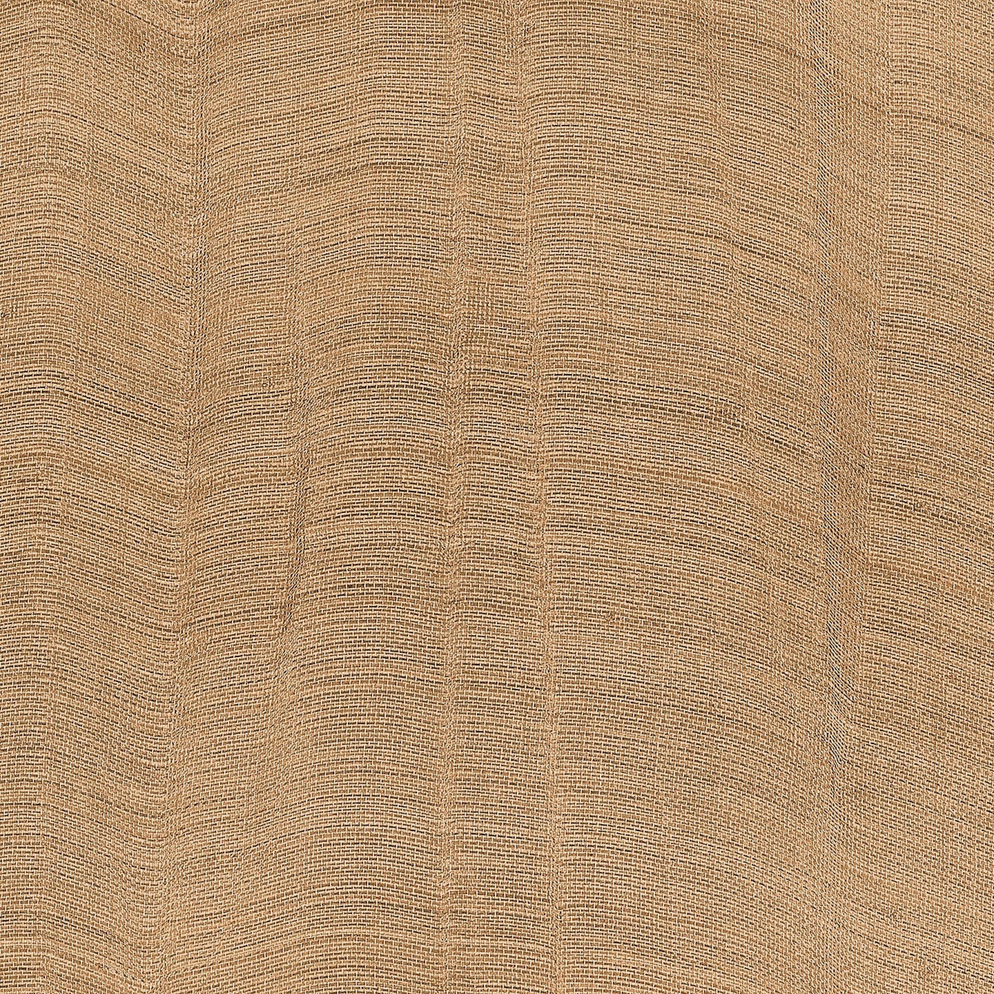 Purchase Phillip Jeffries Wallpaper - 42405, Sheer Oasis - Mushroom