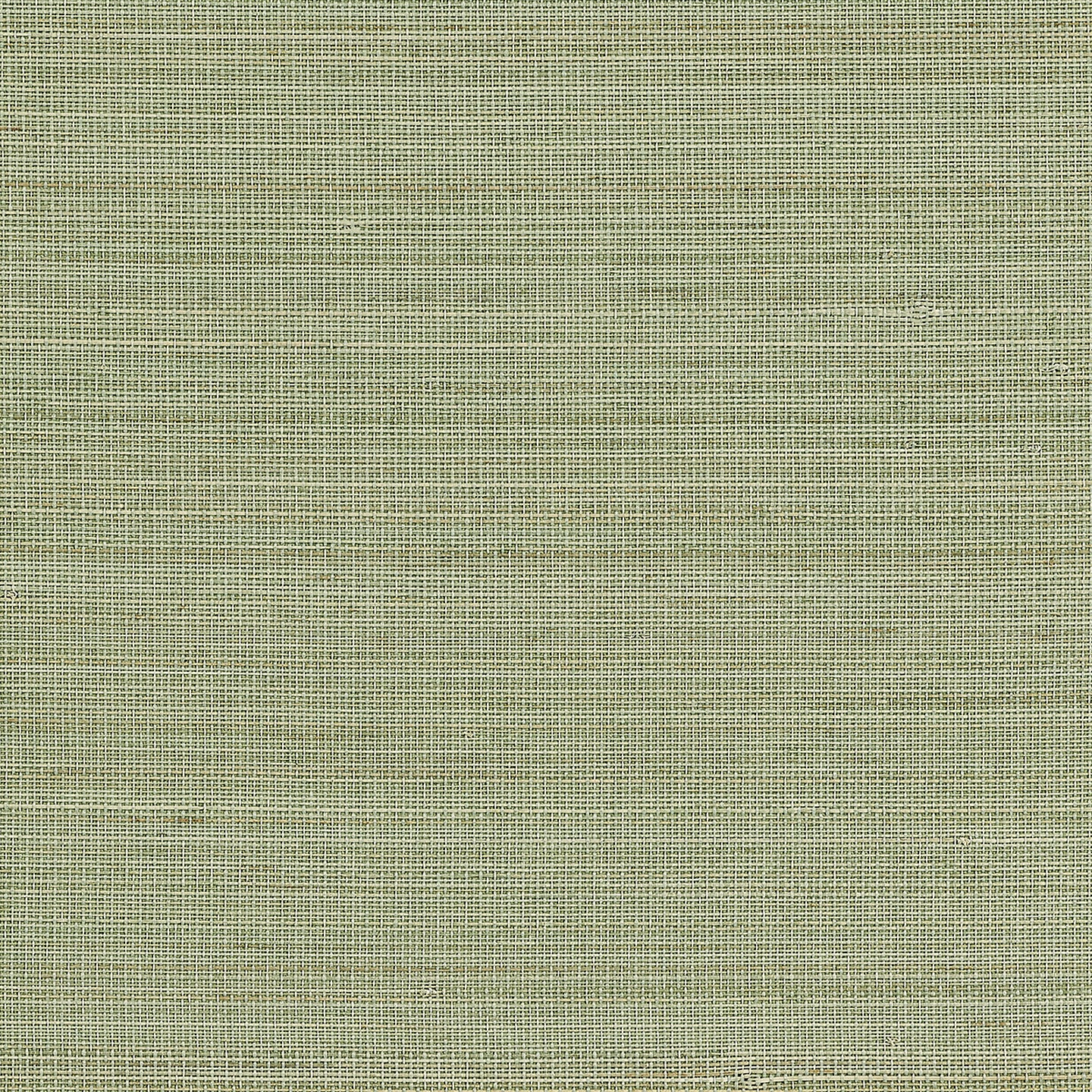 Purchase Phillip Jeffries Wallpaper - 23707, Abaca Harvest - Calm Celadon