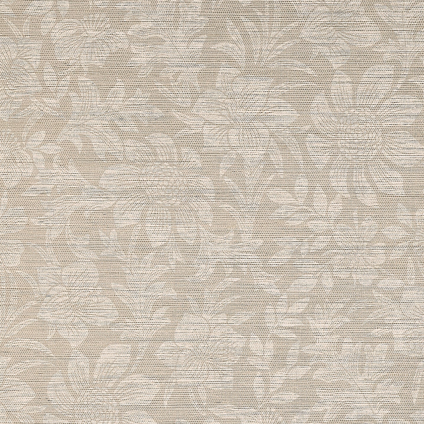 Purchase Phillip Jeffries Wallpaper - 25903, Brittany Botanicals - Faint Flora