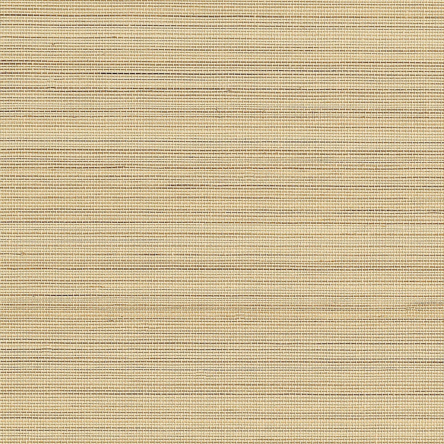 Purchase Phillip Jeffries Wallpaper - 23700, Abaca Harvest - Sunlit Sands