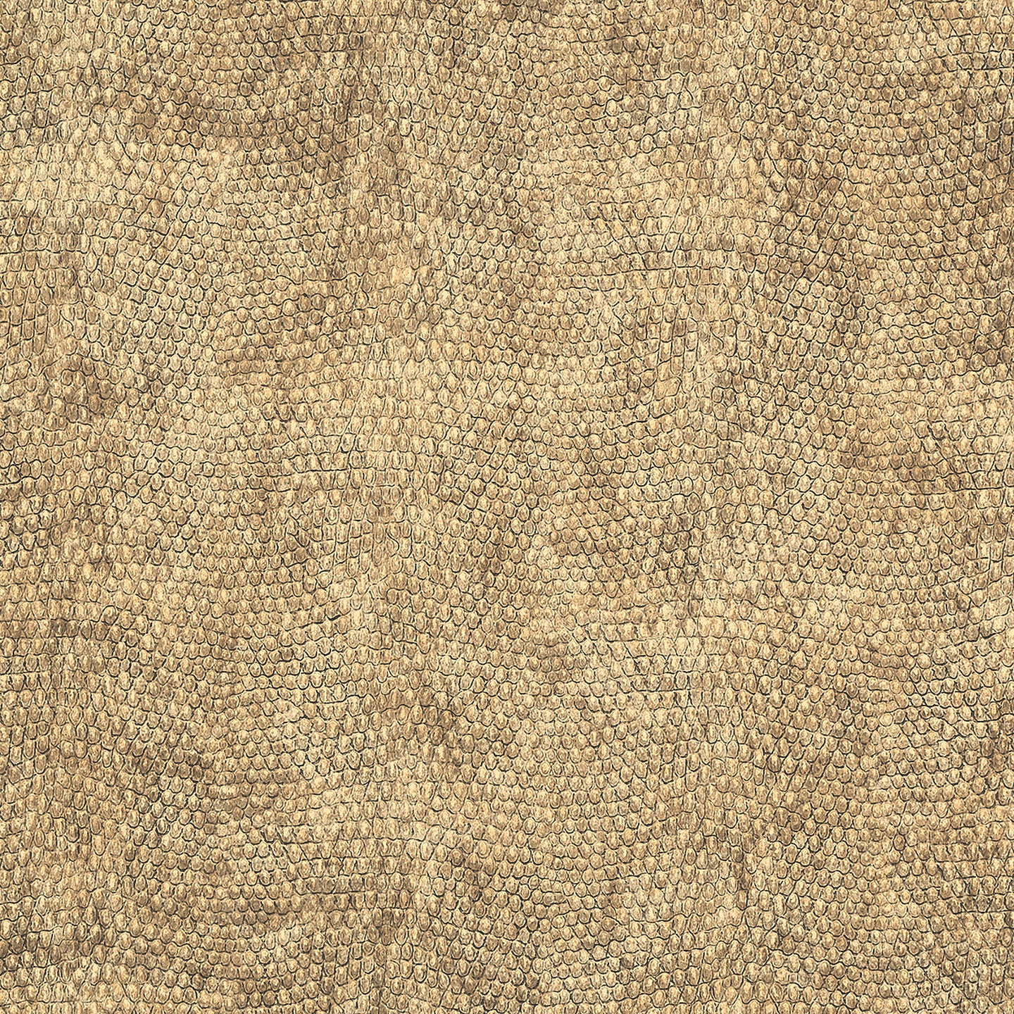 Purchase Phillip Jeffries Wallpaper - 10252, Vinyl Snakeskin - Golden Crowned