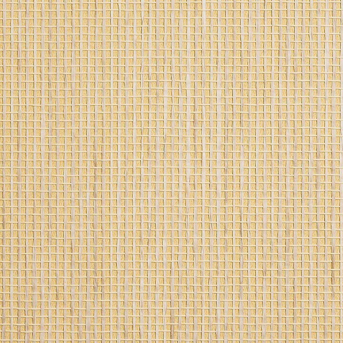 Purchase Phillip Jeffries Wallpaper - 9884, Coastal Weave - Midday Sun