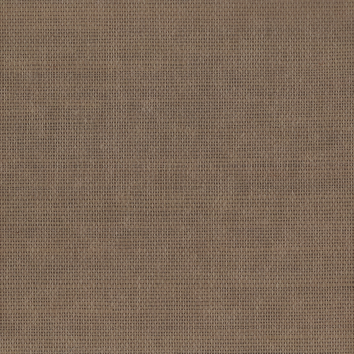 Purchase Phillip Jeffries Wallpaper - 37107, Glimmering Grass - Mauve On Glam Grass