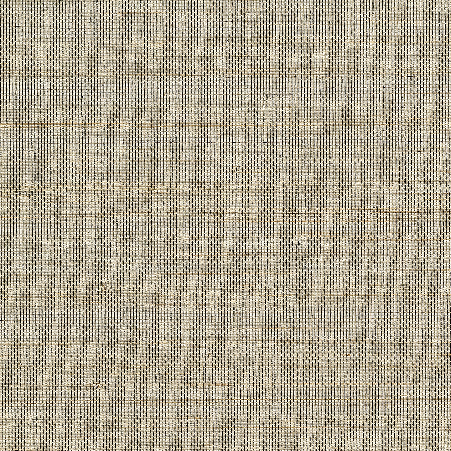 Purchase Phillip Jeffries Wallpaper - 10770, Horsehair - Cremello Crème