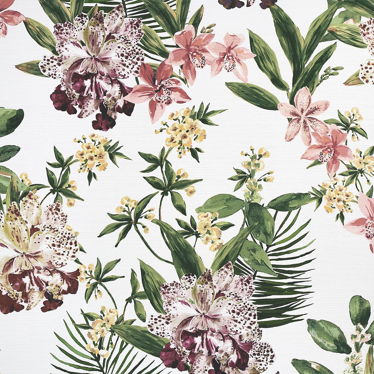 Purchase Phillip Jeffries Wallpaper - 10556, Aloha Orchids - Mai Tai Multi