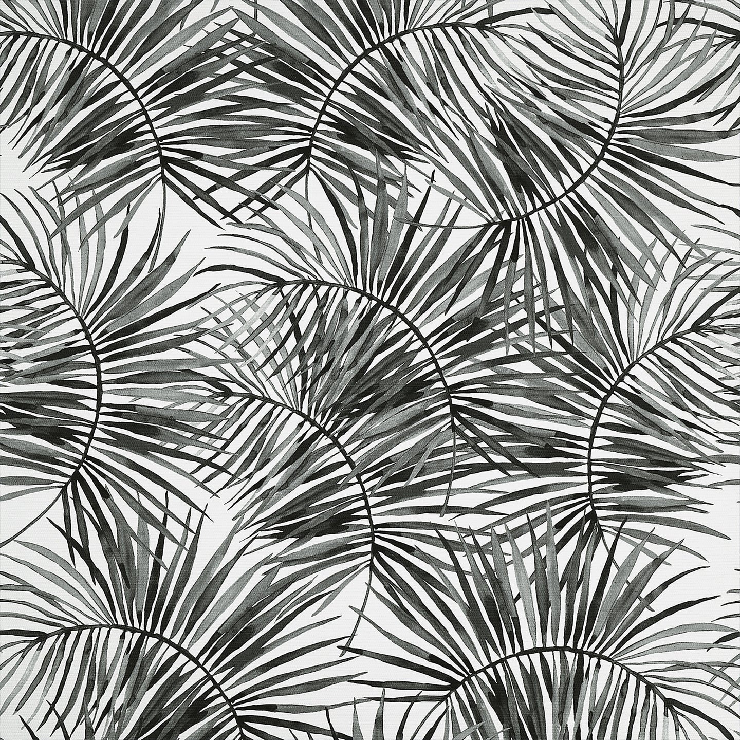 Purchase Phillip Jeffries Wallpaper - 10458, Island Time - Jungle Noir
