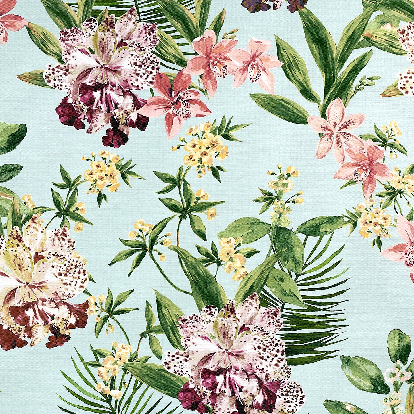 Purchase Phillip Jeffries Wallpaper - 10558, Aloha Orchids - Ocean Cooler