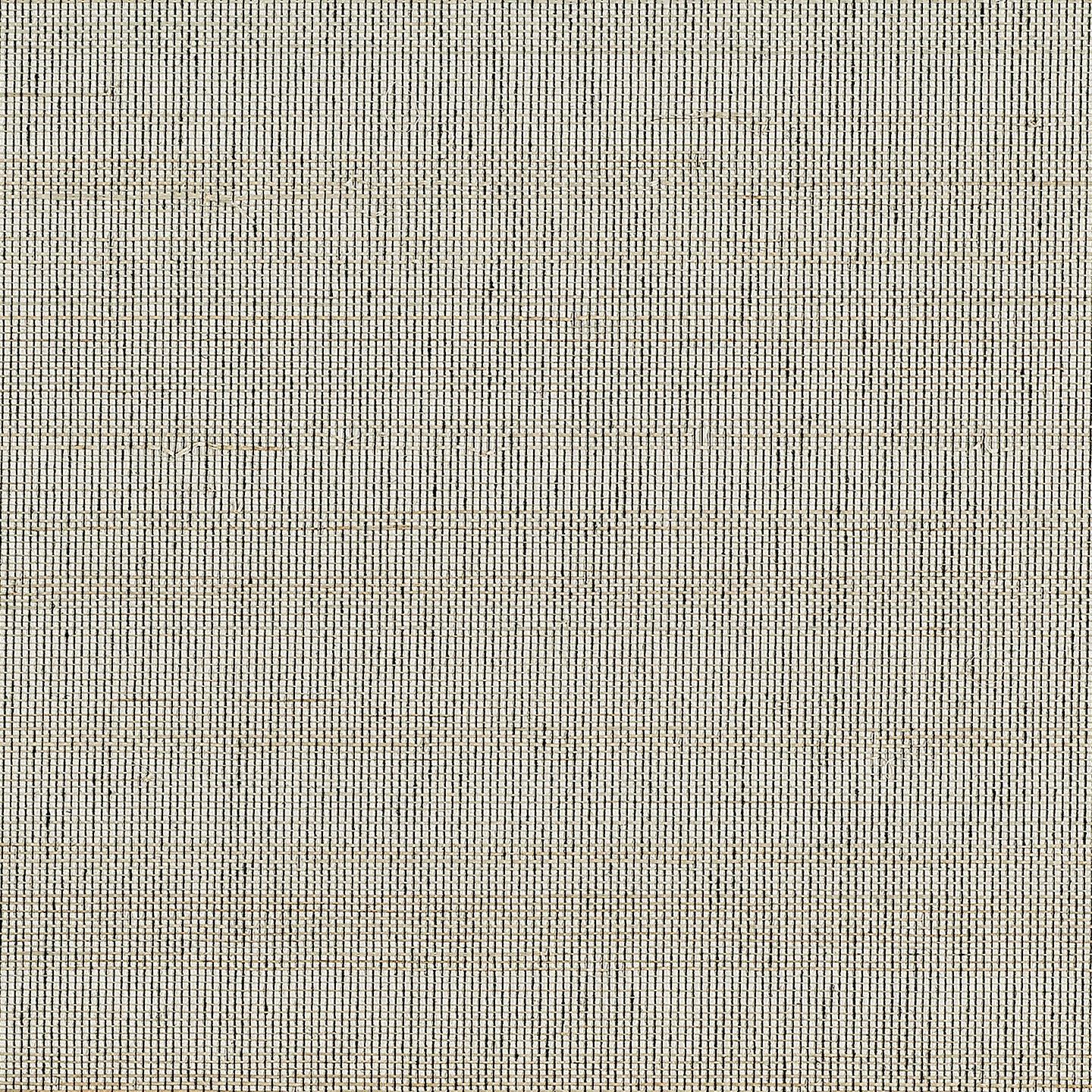 Purchase Phillip Jeffries Wallpaper - 10769, Horsehair - Grulla Grey