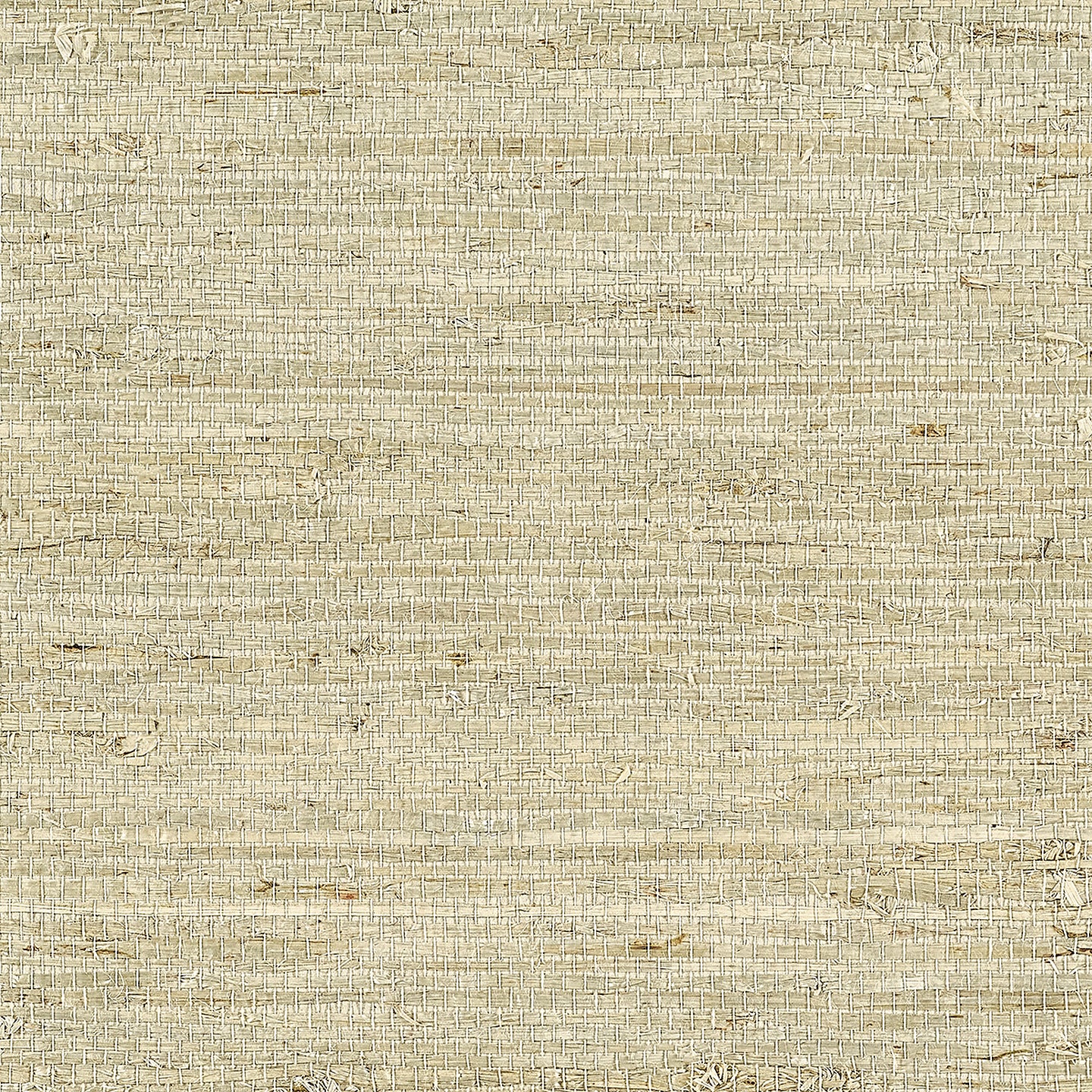 Purchase Phillip Jeffries Wallpaper - 10808, Extra Fine Arrowroot - Natural