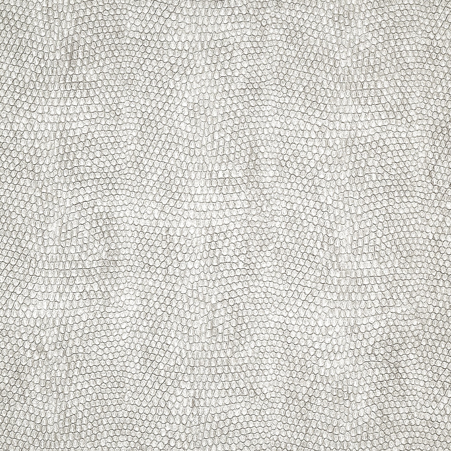 Purchase Phillip Jeffries Wallpaper - 10247, Vinyl Snakeskin - White Fang