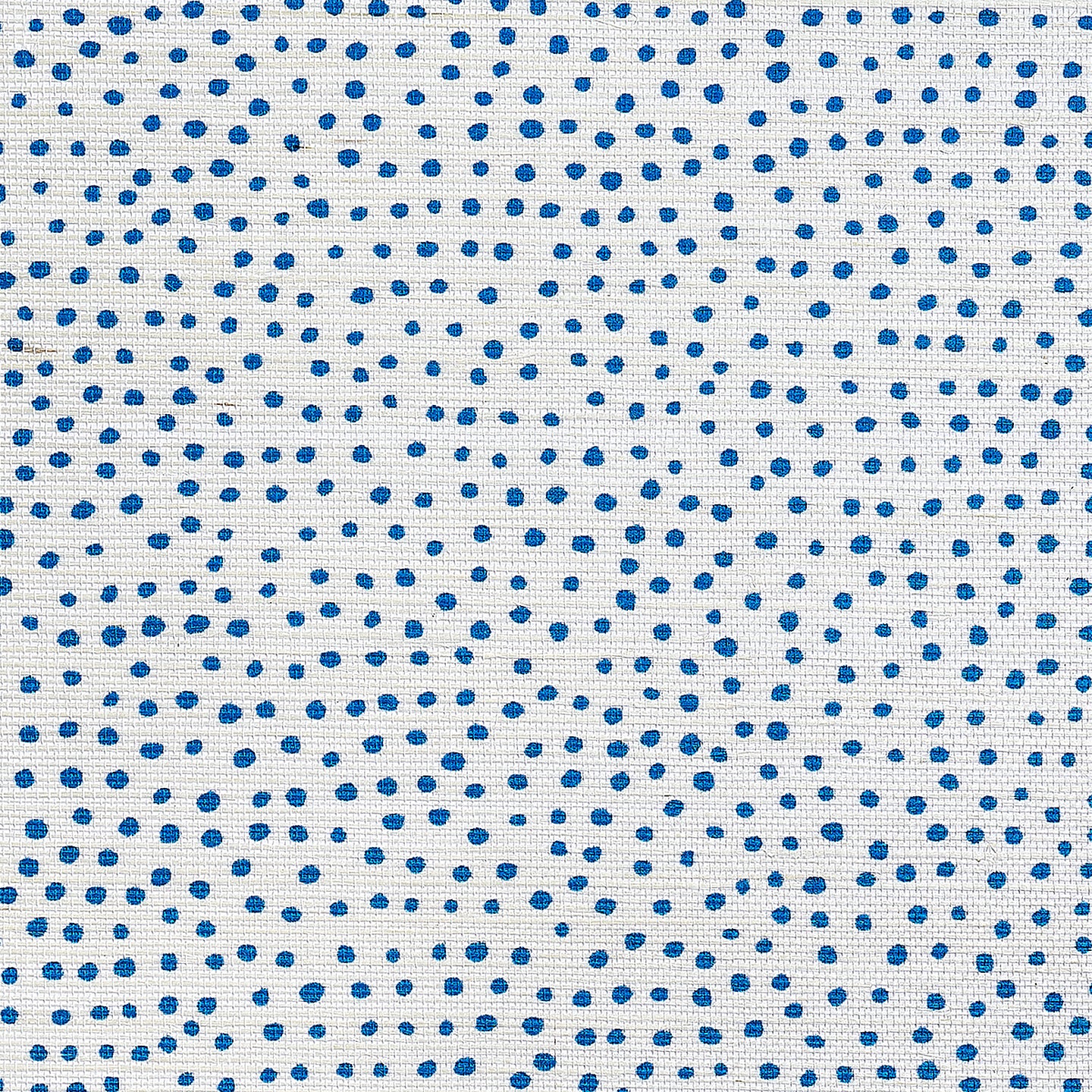 Purchase Phillip Jeffries Wallpaper - 10013, Droplets - White With Blue