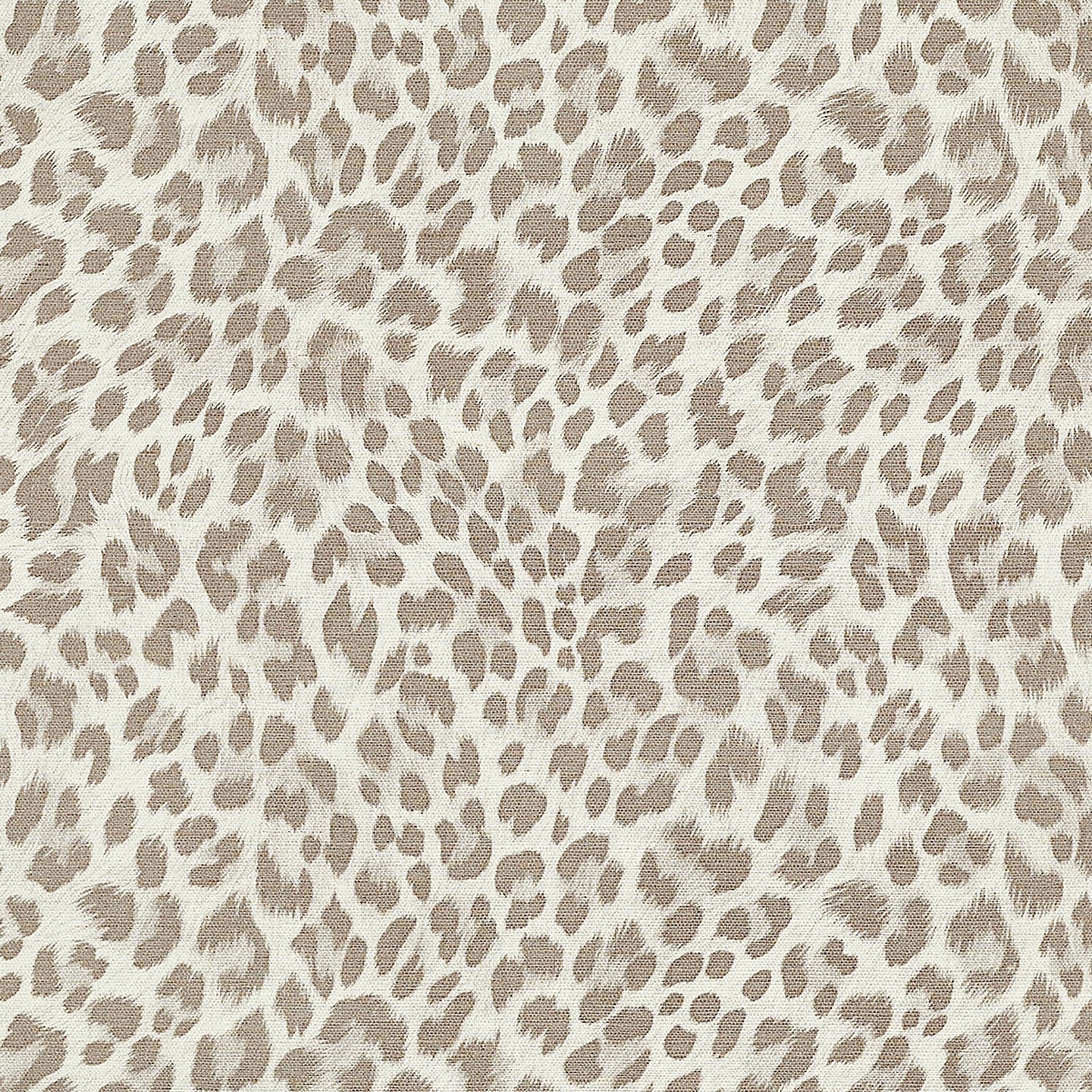 Purchase Phillip Jeffries Wallpaper - 26704, Wild Thing - Birman Safari