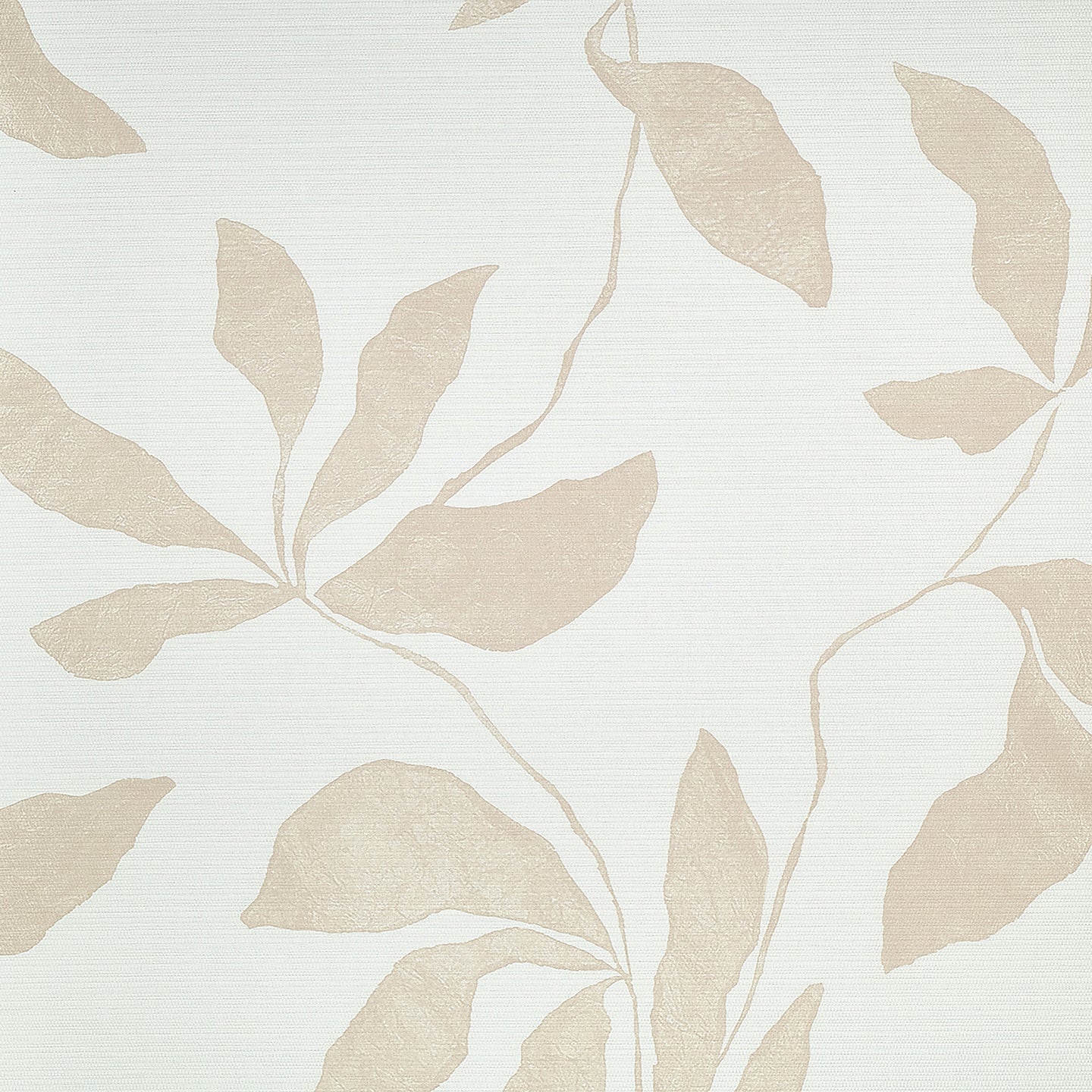 Purchase Phillip Jeffries Wallpaper - 40208, Desert Ivy - Blush Haze On Woven Walls