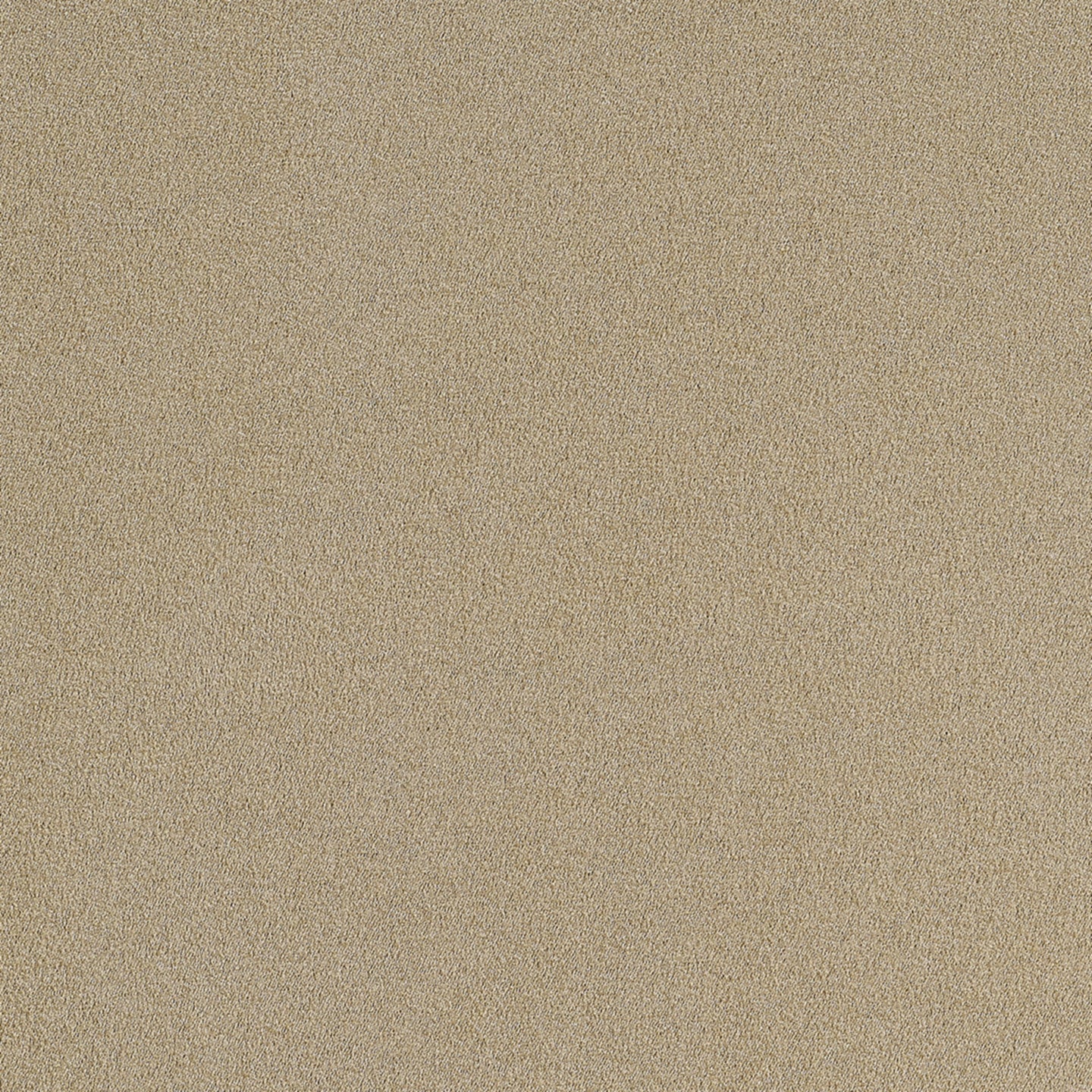 Purchase Phillip Jeffries Wallpaper - 10289, Suede Lounge - Grain
