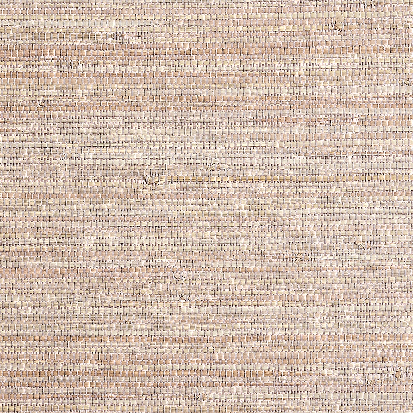 Purchase Phillip Jeffries Wallpaper - 9973, Coastline Grass - Pink Shell