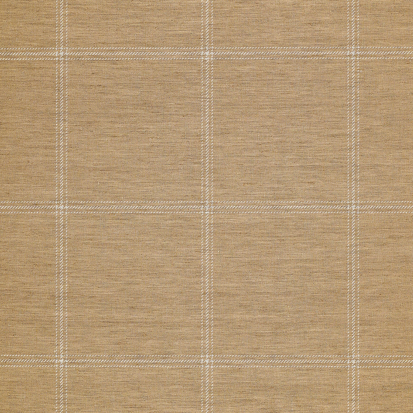 Purchase Phillip Jeffries Wallpaper - 10709, Jackson Plaid - White On Camel