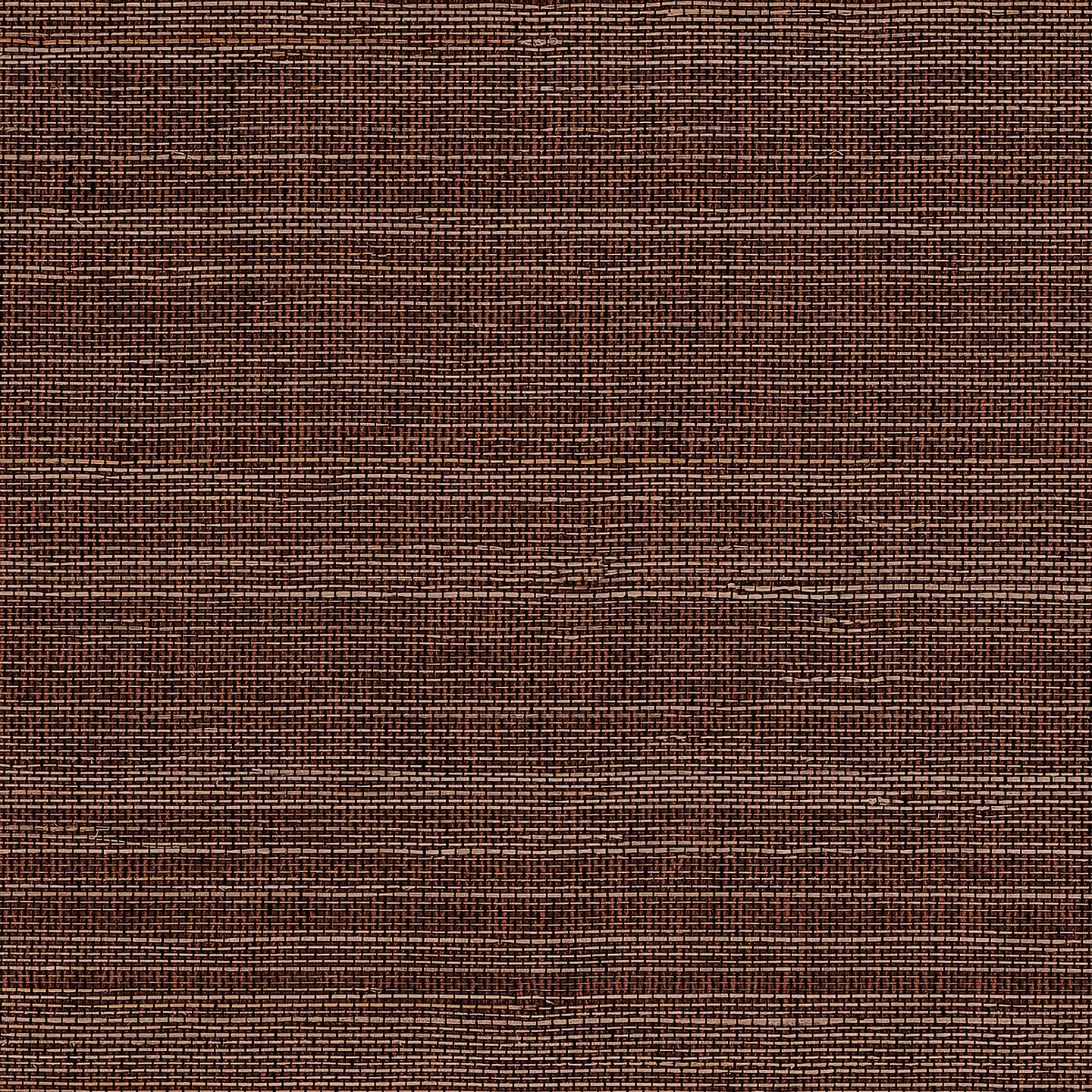 Purchase Phillip Jeffries Wallpaper - 10772, Horsehair - Bay Brown
