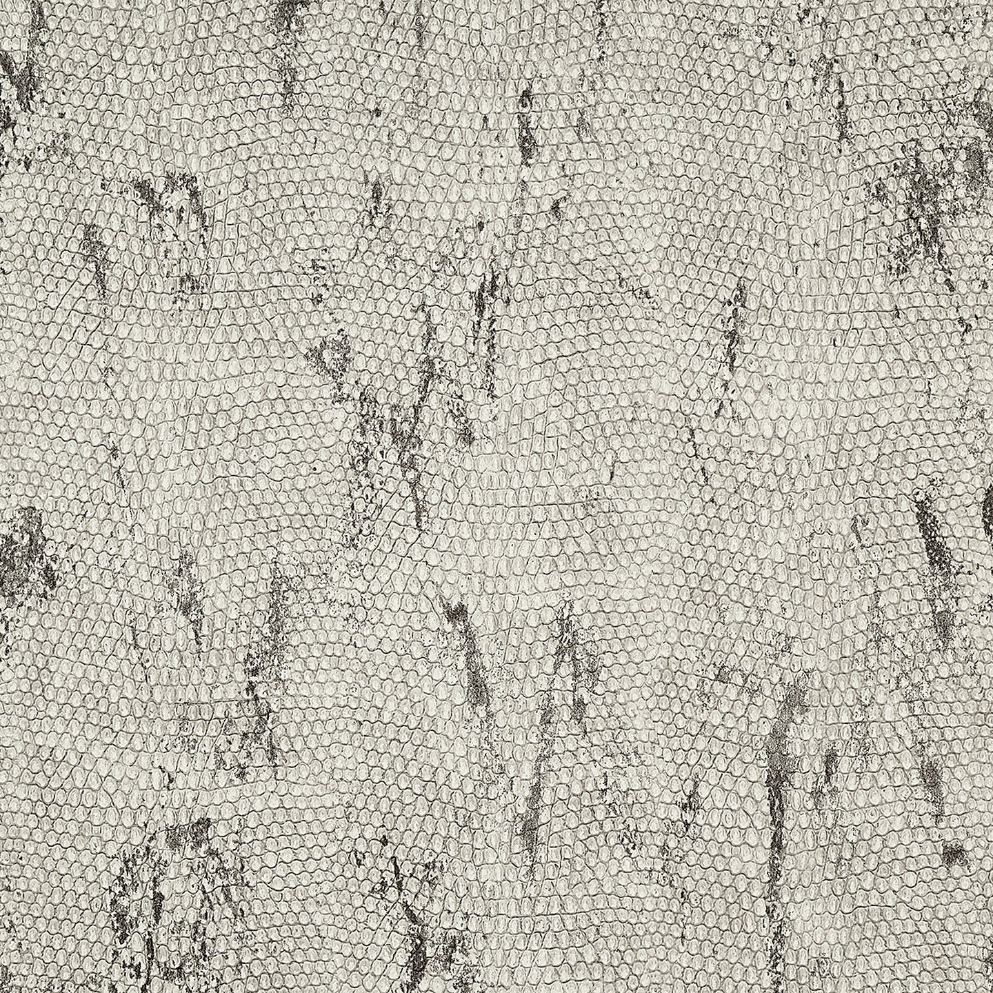 Purchase Phillip Jeffries Wallpaper - 10250, Vinyl Snakeskin - Grey Garter