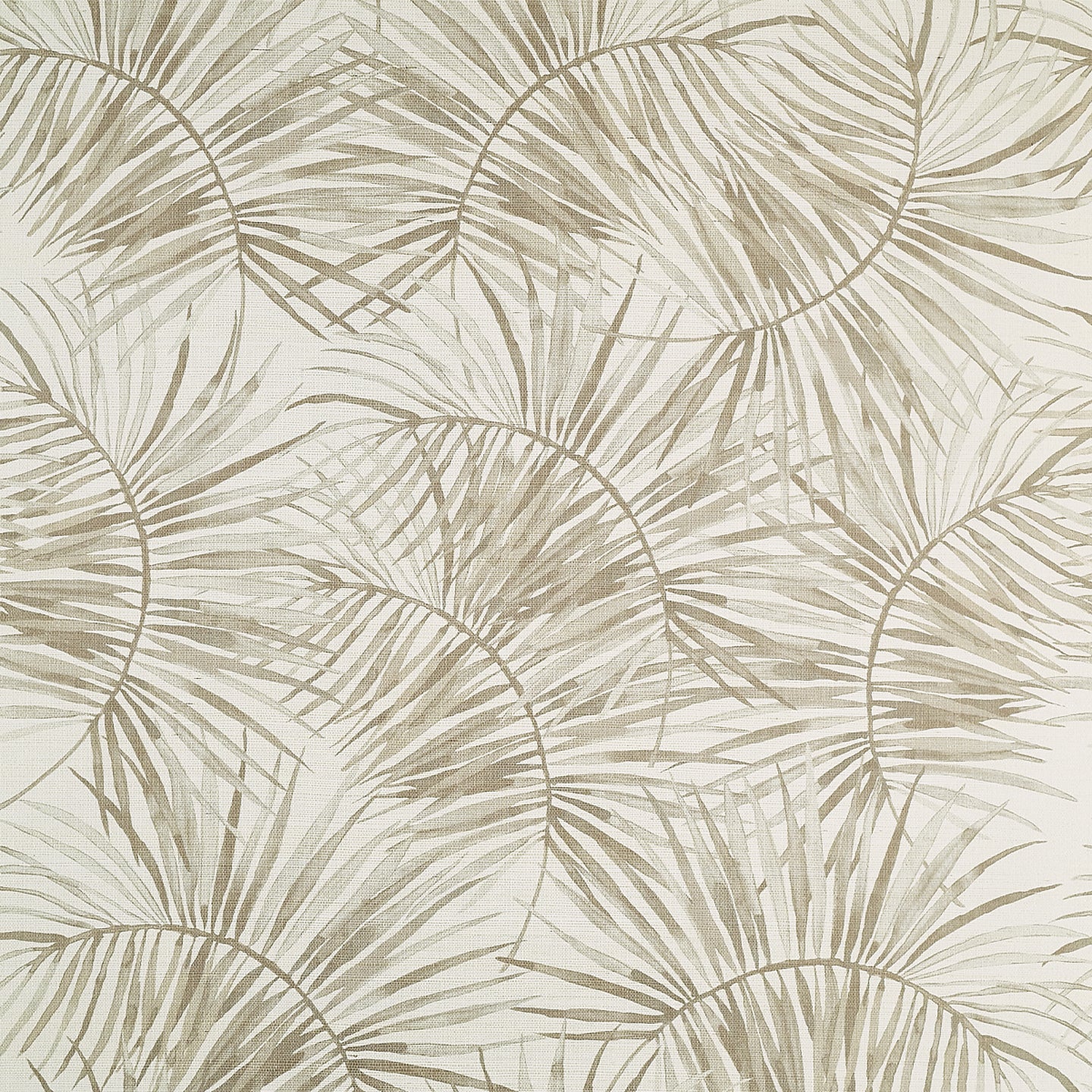 Purchase Phillip Jeffries Wallpaper - 10454, Island Time - Palm Shadow