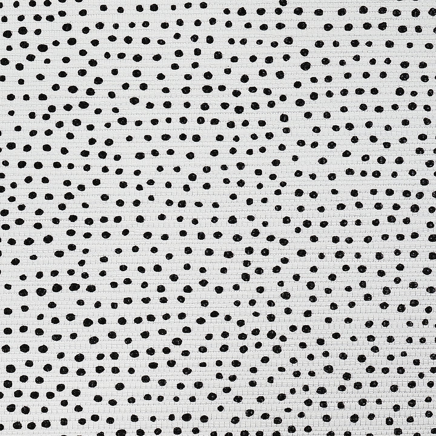 Purchase Phillip Jeffries Wallpaper - 10015, Droplets - White With Black