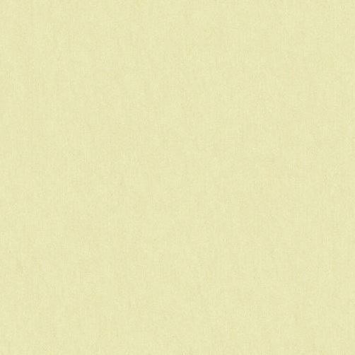 Sample JAG-50020-100 Shots Parchment Solid Brunschwig and Fils Fabric