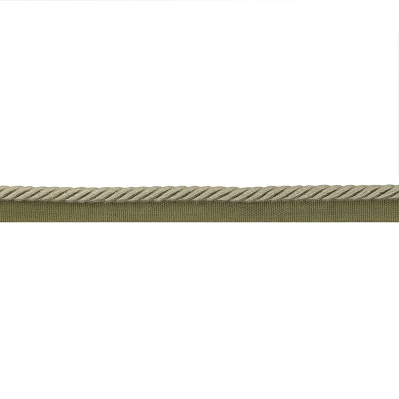 Sample T8020106.30.0 Barodet Cord Green Brunschwig and Fils Fabric