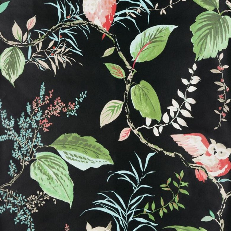 Sample W3331.819 Owlish Black by Kravet Design