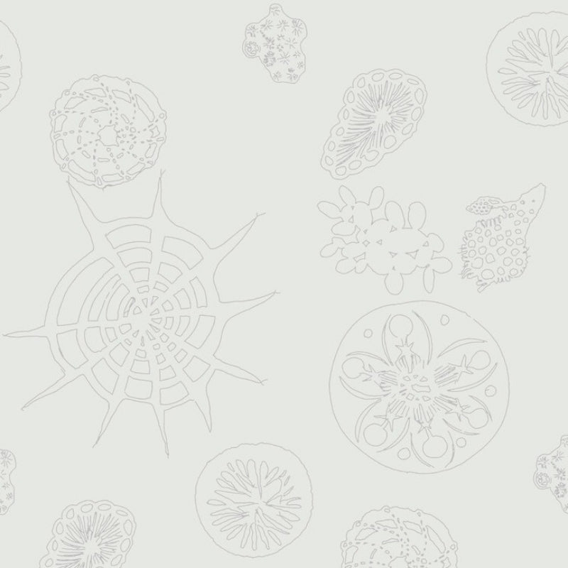 Sample W3585.1.0 Telescopic P, Mercury by Kravet Couture Wallpaper