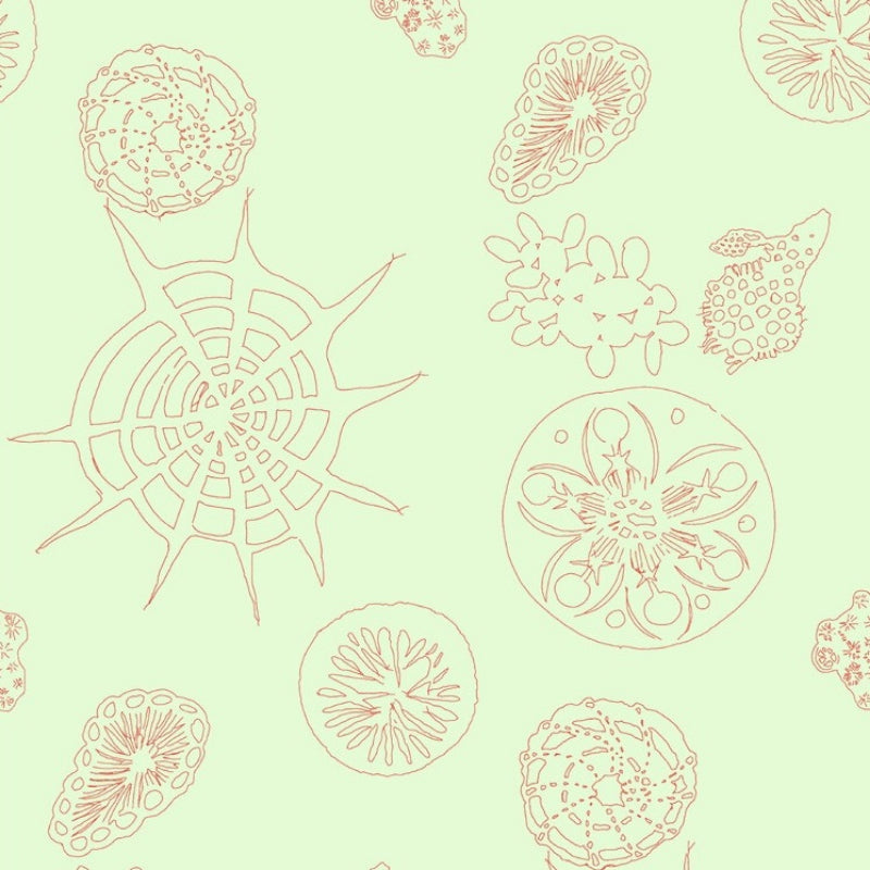 Sample W3585.319.0 Telescopic P, Coral Sea by Kravet Couture Wallpaper
