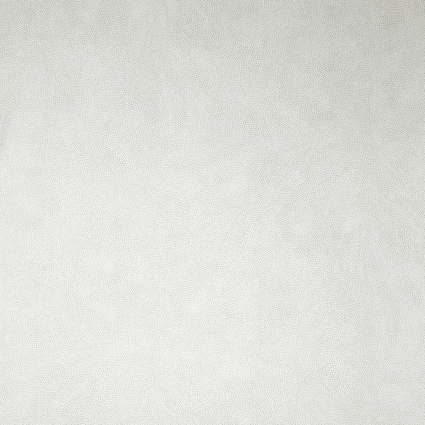Purchase Sample Osborne and Little Mako Ivory W6303-04