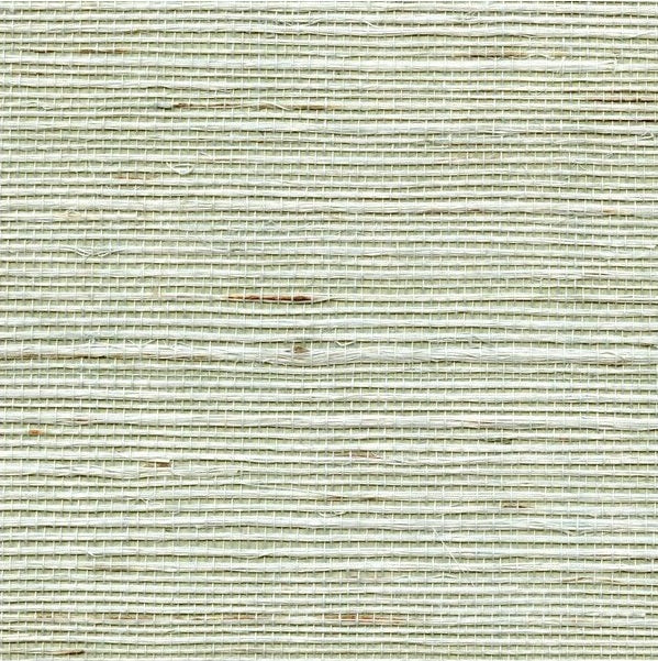 Sample WDW2411.WT.0 Distinctive Sisals Winfield Thybony Wallpaper