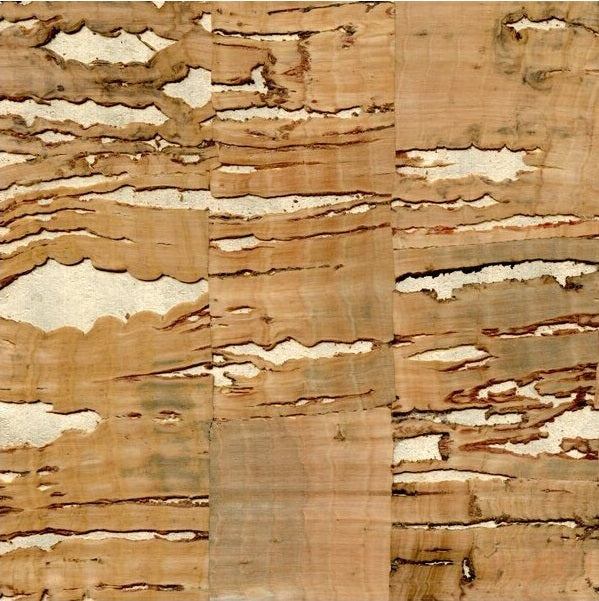Sample WNR1122.WT.0 Gaudi Solid Winfield Thybony Wallpaper